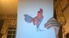 Rooster.jpg