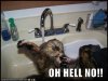OH_ef145f_575448.jpg