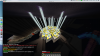 Screen Shot 2014-07-12 at 7.43.58 pm.png
