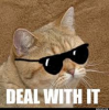 Deal. With. It.png