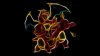 charmanderfamily_by_theblacksavior-d63welv.jpg