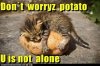upload_2014-8-15_13-4-43.jpeg