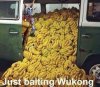 wukong2.jpg