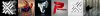 logo example.jpg