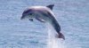 upload_2014-9-17_7-15-31.jpeg
