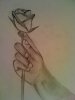 Rose_in_Hand_by_jamesxd.jpg