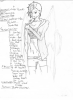 13bfea4b62d488b4d5907b8558a596a3.png