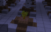ACACIA SAPLING ON ORG LEGIT.png