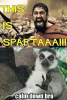 3f1894ecfeb5073e857777ccd39d5181.png