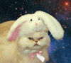 tumblr_mxzzlnkFhZ1qaets3o1_500[1].gif