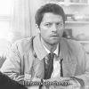 Cas- I\'ll interrogate the cats.gif