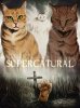 Group- Supercatural.jpg