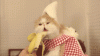 banana-cat[1].gif