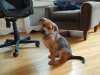 IMG_1991.jpeg