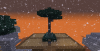 Image Nine.png