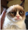 upload_2015-6-13_16-25-19.png