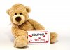 teddy-bear-with-hug-coupon-blink-images.jpg