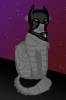 JJ.png