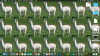 Screen Shot 2015-08-15 at 12.55.49 AM.png