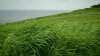 upload_2015-8-28_9-1-42.jpeg