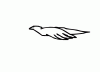 bird.gif