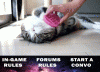 signature1.gif