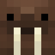 walrus