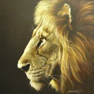 Lioncub1212