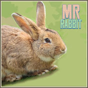 MrRabbit