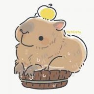 averagecapybara3njoyer