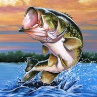 Bass