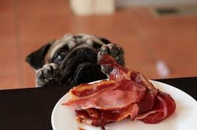 Sky_Bacon