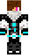 Snudude