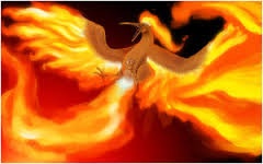 FireRaven4564