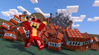 pinkwolf11