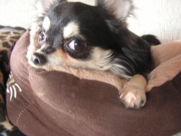 mindym2001