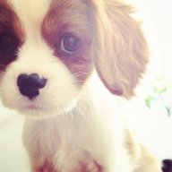 Kitkat ^_^