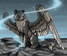 WolfArick