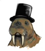 MysteriousWalrus