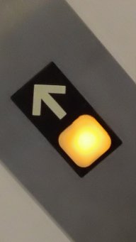 ElevatorDude