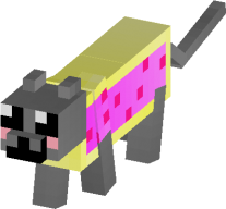 KiwiCatPlayz