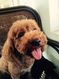 owen_0909