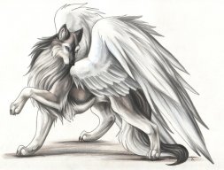 WolfRider