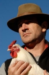 chicken_shepherd