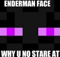 Enderbacon16