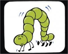 Tiny Inchy