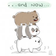 Bear00__