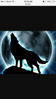Wolvess_
