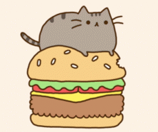 Muffin_Kitteh