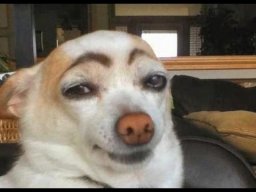 busterpants